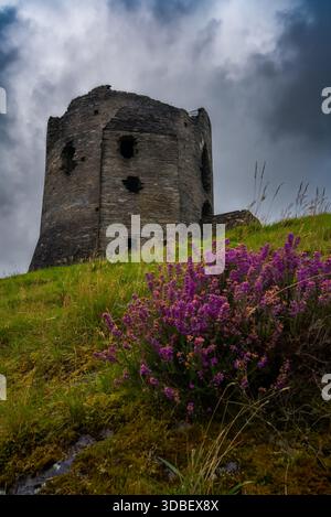 Dolbadarn Castle erhebt sich über grasbewachsenen Hängen und lila Heidekraut unter schweren Sturmwolken Stockfoto