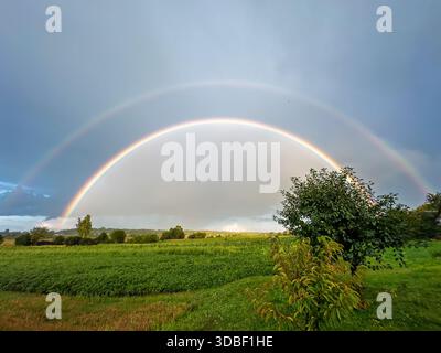 Atemberaubender Regenbogen, der sich über ein üppiges grünes Ackerfeld mit Sturmwolken im Hintergrund an einem Sommerabend im Freien erhebt Stockfoto