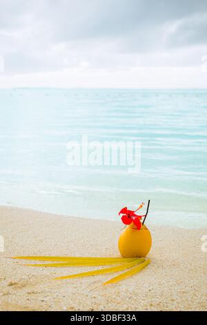 Eine kugelförmige Kokosnussschale enthält Flüssigkeit, verziert mit einer roten Blume und Stroh, die auf körnigem Sand in der Nähe von türkisfarbenem Meereswasser unter einem bewölkten Himmel liegt Stockfoto