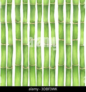 Nahtloses Muster mit grünen Bambusstämmen auf dem Hintergrund. Chinesisches Gartenklipart. Bambusmuster. Handgezeichnete Aquarellillustration für asiatisches Thema Stockfoto