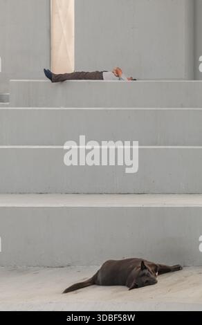 Bangkok, Thailand - 15. Dezember 2025 - Ein Mann liegt auf der oberen Landung einer Betontreppe, während ein dunkler Hund auf der unteren Landung liegt. Stockfoto