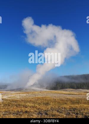 Eine hohe, sich windende Säule aus weißem Dampf erhebt sich von einem Geysir in einen klaren blauen Himmel, der über der flachen vulkanischen Landschaft des Yellowstone National Pa thront Stockfoto