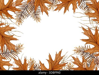 Aquarellillustration eines Herbstrahmens aus Eichenblättern und getrockneten metasequoia-Zweigen auf weißem Hintergrund. Handbemalter botanischer Stil. Idee Stockfoto