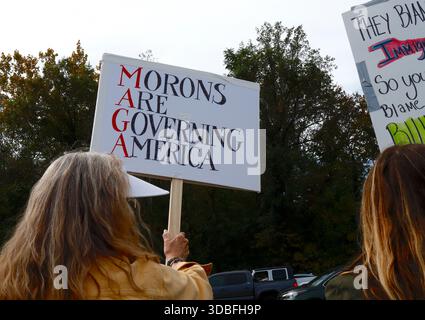 Demonstranten halten Zeichen des Anti-Trump-Regimes auf Stockfoto