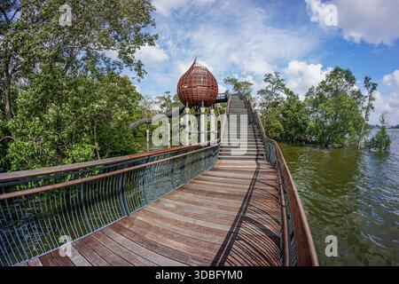 Blick auf die Promenade, die sich in Richtung einer bauchigen Struktur zwischen üppigem Grün und ruhigem Wasser erstreckt, Sungei Buloh Wetland Reserve, Neo Tiew Crescent, Singap Stockfoto