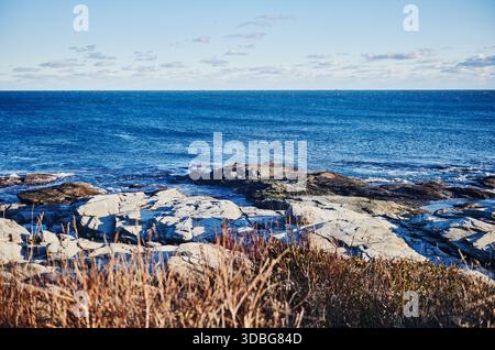 Felsige Küste des Beavertail State Park, Jamestown, Rhode Island, New England Stockfoto