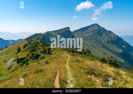 Ein ruhiger Wanderweg schlängelt sich durch üppige Almwiesen und hoch aufragende Gipfel und beschwört Ruhe und Abenteuer unter klarem Himmel in Vorarlbergs Breathta Stockfoto