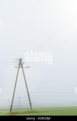 Alte Betonmaste, die bei starkem Nebel auf einem grünen Ackerfeld steht. Minimalistische ländliche Landschaft mit Freilandstromanlagen kaputt Stockfoto