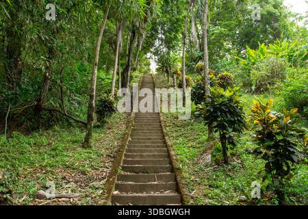 Treppe führt durch tropischen Wald zum Pirate’s Bay Beach in Tobago, einem malerischen Zufahrtsweg, der von üppiger karibischer Vegetation umgeben ist. Stockfoto