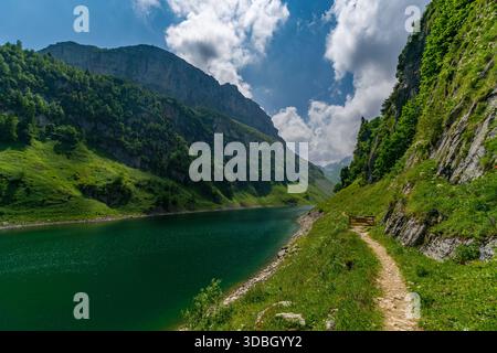 Ein beschaulicher Bergweg führt zum atemberaubenden Faehlensee in den Schweizer Alpen mit lebhaftem Grün und majestätischen Gipfeln unter teilweise bewölktem Himmel Stockfoto