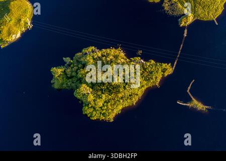 Blick aus der Vogelperspektive auf Eine kleine üppige Insel, umgeben von tiefblauem Wasser mit dichten Bäumen, Conemara, Irland Stockfoto