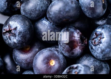 Nahaufnahme der Heidelbeeren. Hintergrund mit Heidelbeerstruktur. Hochwertige Fotos Stockfoto