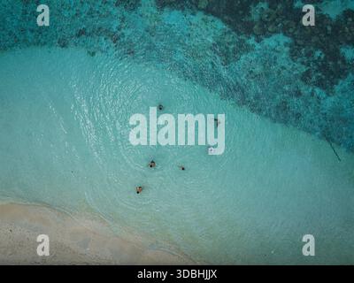 Von oben nach unten aus der Vogelperspektive auf die Schwimmer im flachen türkisfarbenen Meer in der Nähe des Strandes Stockfoto