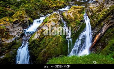 Sol Duc Falls, Die Durch Den Canyon Scenic View Fließen Stockfoto