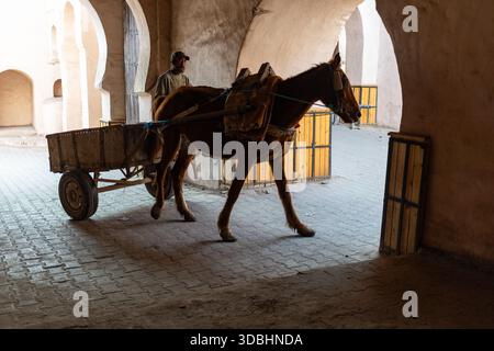 MARRAKESCH, MAROKKO - 4. DEZEMBER 2025: Kellner gießen Marokkantee in Marrakesch Stockfoto