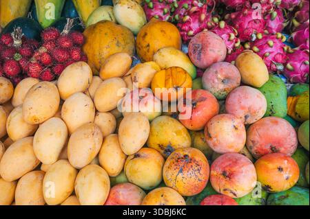 Auswahl an frischen asiatischen exotischen tropischen Früchten und Mangos auf dem Theken auf dem asiatischen Straßenmarkt in Thailand Stockfoto
