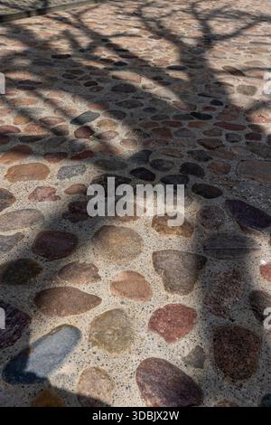 Schatten von Bäumen auf einer Straße aus Steinen und Schutt mit Kieselsteinen, eine umgebaute alte klassische Straße auf dem Land mit Schatten von Bäumen in sonnigem Wetter Stockfoto