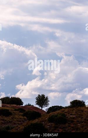 Eine vertikale Komposition mit einer isolierten Baumsilhouette auf einem rötlich-braunen Hügel. Der Hintergrund ist ein weicher, blassblauer Himmel, der mit scatt gefüllt ist Stockfoto
