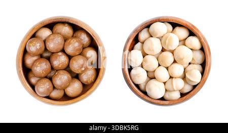 Macadamia-Nüsse, in Schalen und geschält, in Holzschalen. Auch bekannt als Queensland, Busch, Maroochi, Bauple und Hawaii Nüsse. Stockfoto