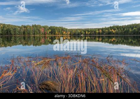 Lower Hadlock Pond im Herbst, Acadia National Park, Maine Stockfoto