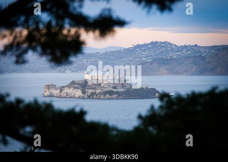 12. OCT 2025 - San Francisco, USA - Alcatraz Island und Gefängnis in der Bucht von San Francisco, von der Spitze des Telegraph Hill aus gesehen. Stockfoto