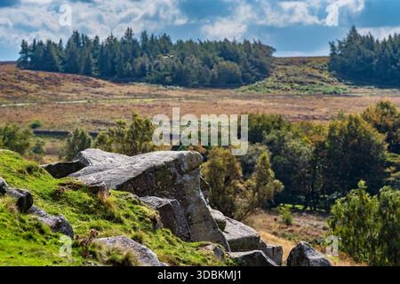 Gritstone-Felsbrocken mit Graffiti auf dem Longshaw Estate im Peak District, bei hellem Sommersonnenschein Stockfoto