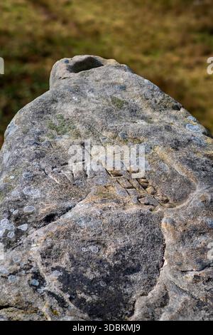 Gritstone-Felsbrocken mit Graffiti auf dem Longshaw Estate im Peak District, bei hellem Sommersonnenschein Stockfoto