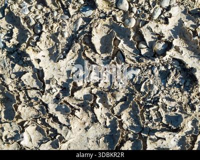 Blick von oben auf einen getrockneten und rissigen Boden mit Kieselsteinen im Seitenlicht. Stockfoto
