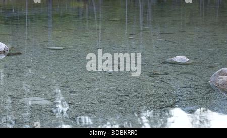 Kristallklares Wasser in einem Bergsee Stockfoto