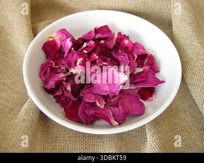 Getrocknete Rosenblätter aus der Kartoffelrose in einer Porzellanschale, Rosa rugosa Stockfoto