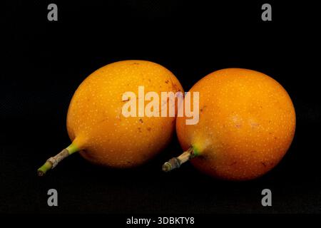 tropische Früchte Stockfoto