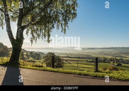 Morgenstimmung im Kanton Thurgau, am Horizont das Alpsteingebirge mit dem Säntis, Iselisberg, Schweiz Stockfoto