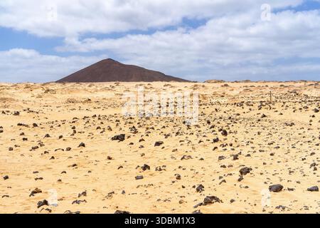 Eine riesige Wüstenlandschaft auf La Graciosa, Lanzarote, mit einem entfernten vulkanischen Berg unter einem hellblauen Himmel. Stockfoto