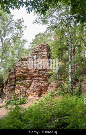Naturdenkmal Katzensteine, Nordrhein-Westfalen, Deutschland, Mechernich Stockfoto