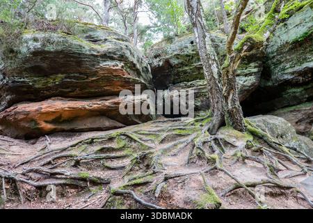 Naturdenkmal Katzensteine, Nordrhein-Westfalen, Deutschland, Mechernich Stockfoto