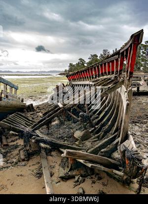 Das verfallene Holzskelett eines Schiffbrüchigen liegt an einer matschigen Küste unter einem dramatischen, bewölkten Himmel. Stockfoto