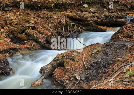 Blick auf rauschende Wasserkaskaden über moosige Felsen und umgefallene Baumstämme inmitten eines mit braunen Blättern bedeckten Waldbodens, Neelum Valley, Azad Kaschmir, Pakistan Stockfoto