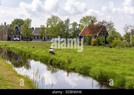 Blick auf malerische Häuser mit leuchtend roten Dächern, eingebettet in üppige grüne Felder, die von einem ruhigen Kanal, der den Himmel reflektiert, geteilt werden, Zaandijk Zaanse S Stockfoto