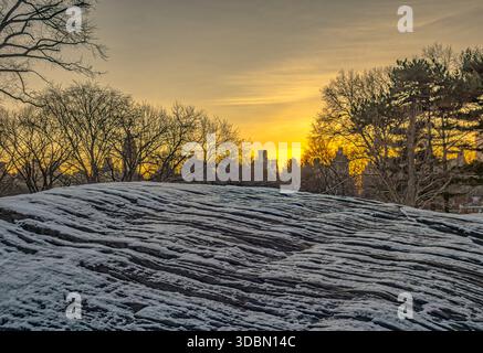 Central Park im winter Stockfoto