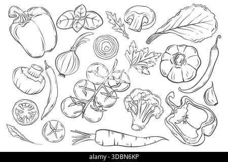 Handgezeichnete Symbole von Gemüse. Gesunde Ernährung. Illustration im Doodle-Stil. Stock Vektor