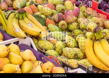 Frische Kaktusfeigen, Bananen und Birnen auf einem lebhaften Obststand im Ballaro Market, Palermo, Sizilien, Italien Stockfoto