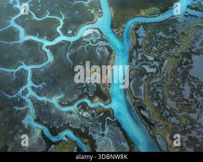 Luftaufnahme der Aveiro Lagune in Portugal. Natürliche Kanäle bilden sich durch die Feuchtgebiete verzweigende blaue Muster wie lebende Wasseradern. Stockfoto