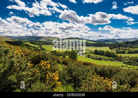Idyllische Frühlingslandschaft mit sanften grünen Feldern, einem gewundenen Fluss und blauem Himmel über der Landschaft von Peebles. Stockfoto
