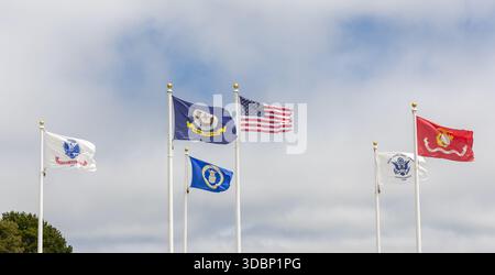 Die Fahnen der US-Streitkräfte wehen im Wind Stockfoto