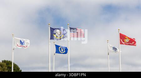 Die Fahnen der US-Streitkräfte wehen im Wind Stockfoto