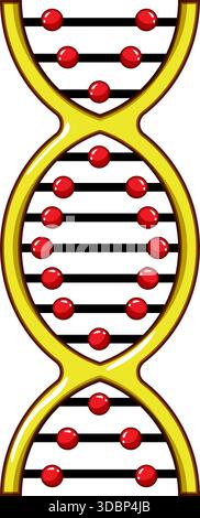 DNA-Doppelhelixstruktur repräsentiert Genetik und Wissenschaft Stock Vektor
