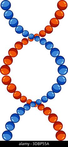 DNA-Doppelhelixstruktur repräsentiert Genetik und Biologie Stock Vektor