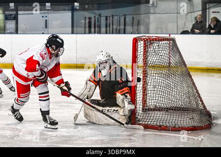 Action der Billingham Stars gegen Telford Tigers in der National Ice Hockey League (N) Moralee Division 1 im Forum, Billingham am Sonntag, den 14. Dezember 2025. (Foto: Scott Llewellyn | MI News) Stockfoto