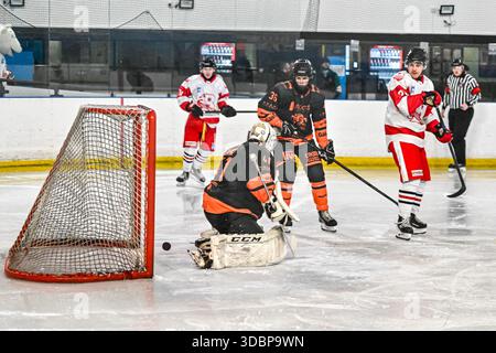 Action der Billingham Stars gegen Telford Tigers in der National Ice Hockey League (N) Moralee Division 1 im Forum, Billingham am Sonntag, den 14. Dezember 2025. (Foto: Scott Llewellyn | MI News) Stockfoto