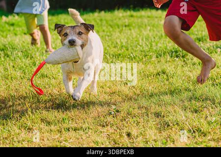 Kinder, die mit Jack russell Terrierhund im Garten spielen - Familie Haustier Bonding Stockfoto
